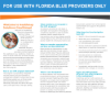 Picture of Florida Blue Provider Brochure
