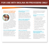 Picture of Molina WI Provider Brochure